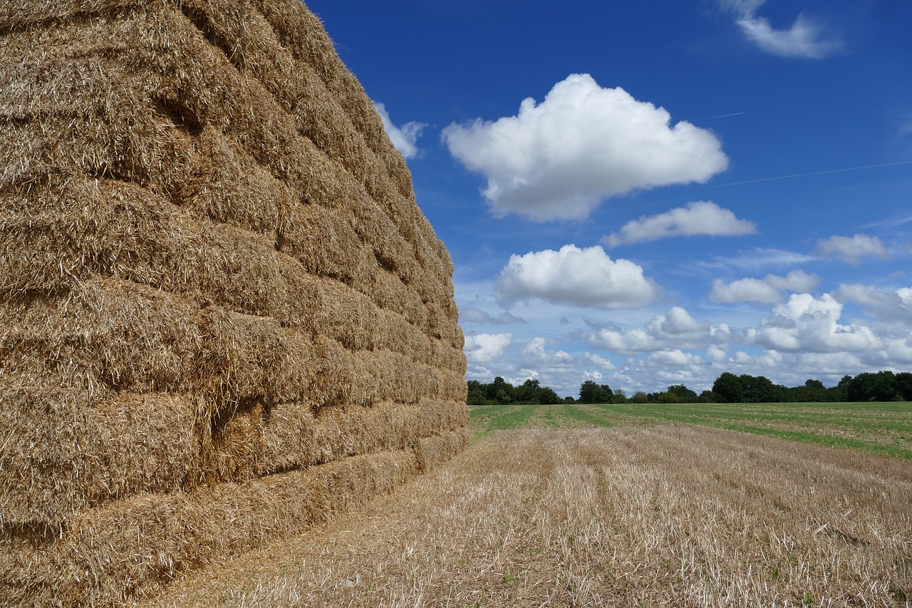 How to Stay Safe During Radical Climate Changes?